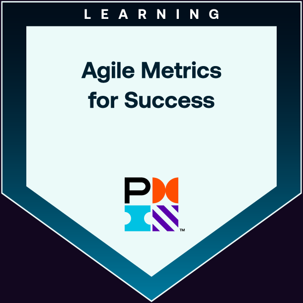 PMI Agile Metrics